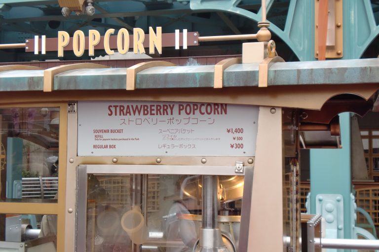 Tokyo disneyland popcorn