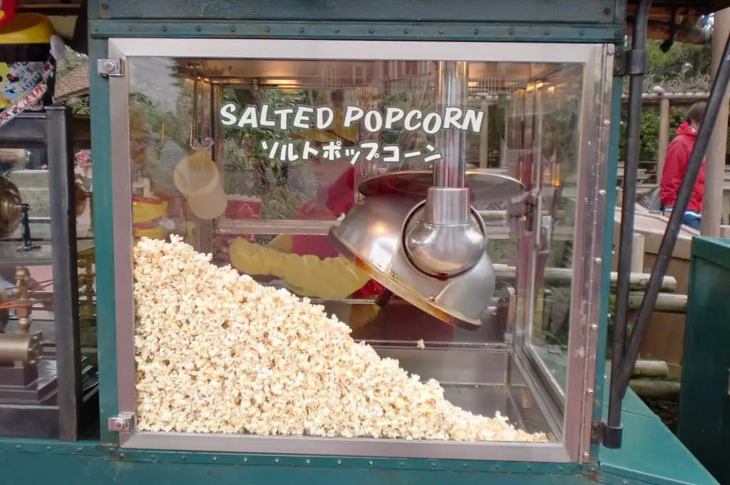 salted tokyo disneyland popcorn