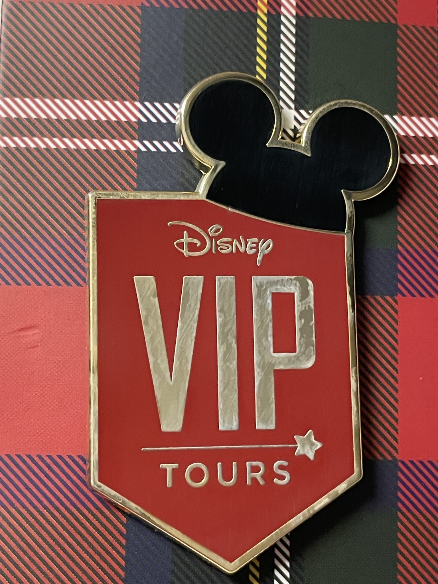 disney-vip-tour-4-parks-10-hours-20-attractions-2023
