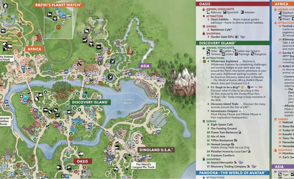 animal kingdom map