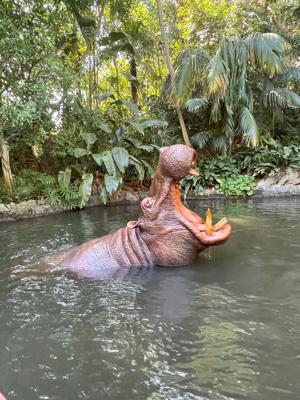 hippo at the walt disney world jungle cruise