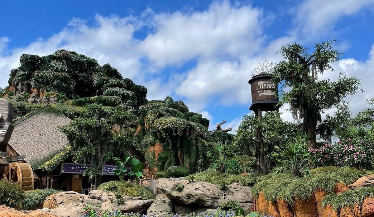 ranking disney world water rides