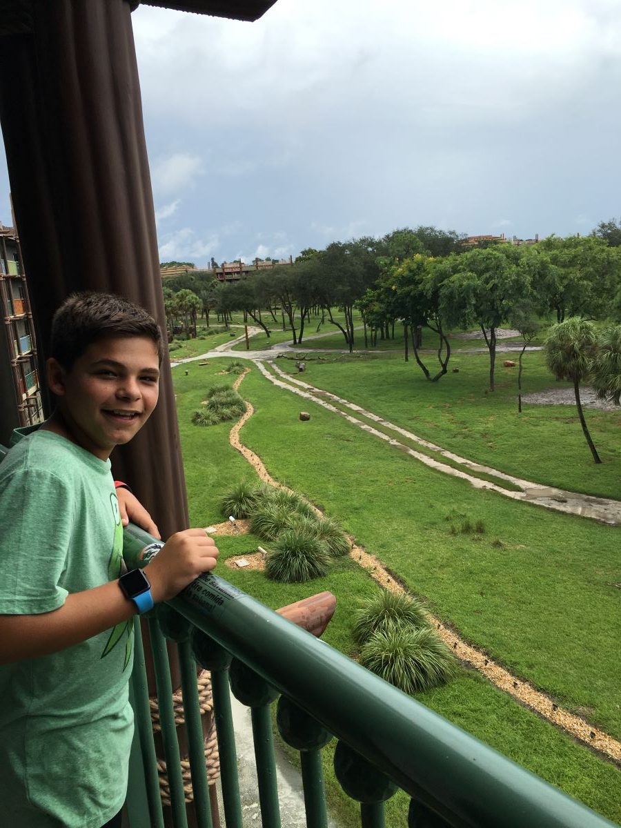 view from balcony at the animal kingdom lodge
